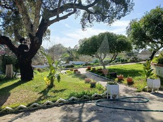 Chalet en venta en Ciudad Monumental en Cáceres