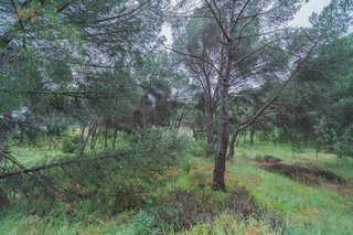 Solar en venta en San Martín de Valdeiglesias