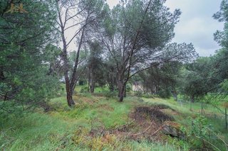 Solar en venta en San Martín de Valdeiglesias