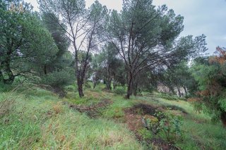 Solar en venta en San Martín de Valdeiglesias