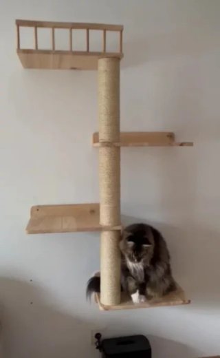 Árbol rascador para gato