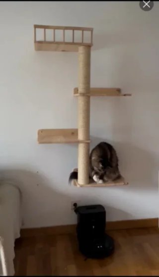 Árbol rascador para gato