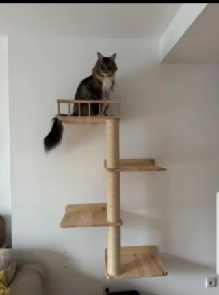 Árbol rascador para gato