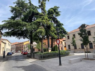 Piso en alquiler en Casco Histórico en Alcalá de Henares