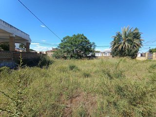 Terreno en venta en Palomares del Río