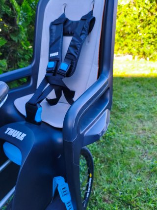 Silla bici infantil Thule RideAlong gris