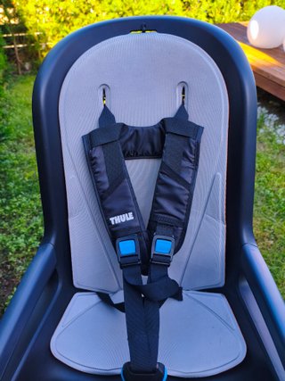 Silla bici infantil Thule RideAlong gris