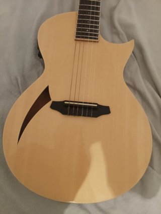 Guitarra LTD TL-6n