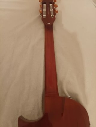 Guitarra LTD TL-6n