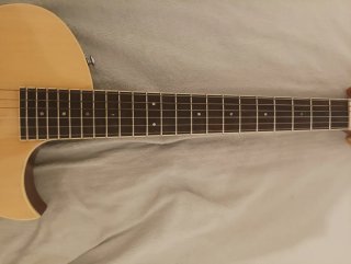 Guitarra LTD TL-6n