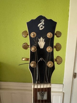 Guitarra Electroacústica Harley Benton Custom