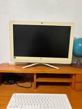 HP All-in-One PC Beige