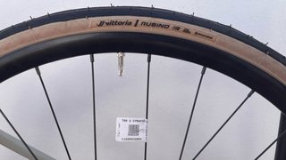 Cuadro Cannondale Synapse Carbon 4 2026 T.54