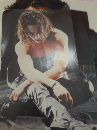 "El cuervo" artículo biográfico The crow