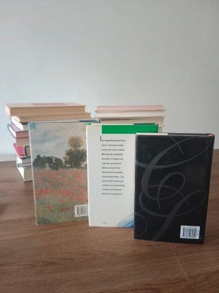 LOTE NARRATIVA SENTIMENTAL • Tamaro Dumas Sager