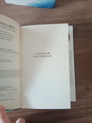 LOTE NARRATIVA SENTIMENTAL • Tamaro Dumas Sager