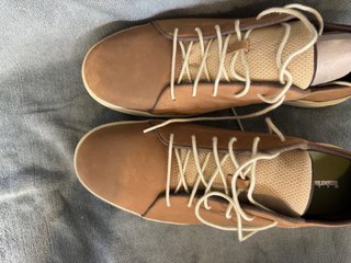 Zapatillas Timberland Beige/Marrón