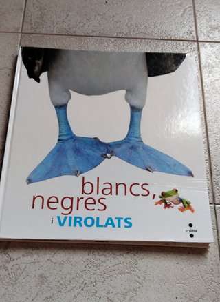 Blancs, negres i virolats
