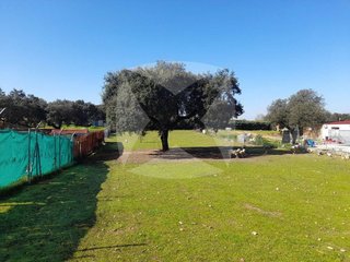 Terreno en venta en Las Vaguadas - Urb. del Sur en Badajoz