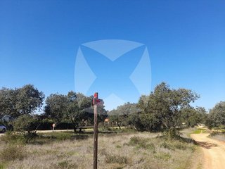 Terreno en venta en Las Vaguadas - Urb. del Sur en Badajoz