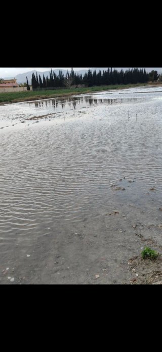 Terreno agrícola