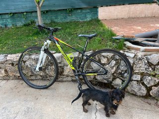 Bicicleta Megamo Natural 29’