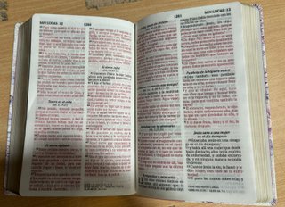 Biblia RVR 1960 / Let Grande /Piel Sint - Safeliz