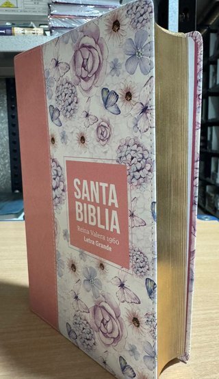Biblia RVR 1960 / Let Grande /Piel Sint - Safeliz