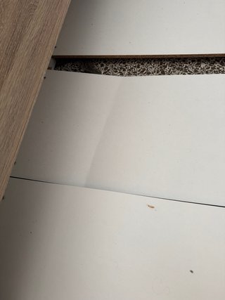 Cama nido de madera