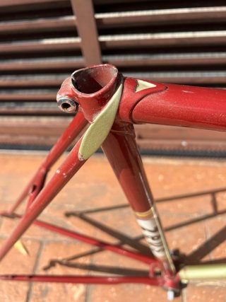 Cuadro Zeus Superser criterium T.55 Clásica