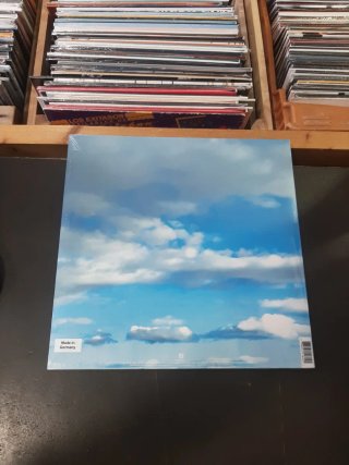 Vinilo Thirty Seconds to Mars It's the End of the