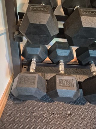 Mancuernas 30 kg (par)