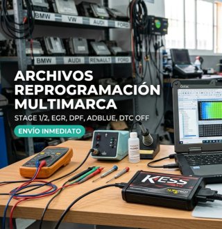 Archivos Reprogramación Multimarca