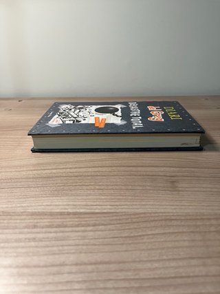 Diari del Greg 14. Desastre total