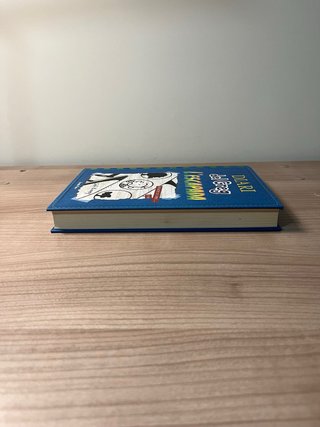 Diari del Greg 14. Desastre total