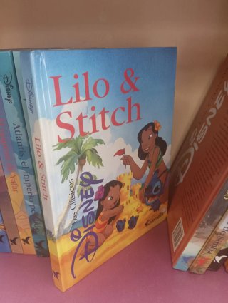 Lote libros Disney
