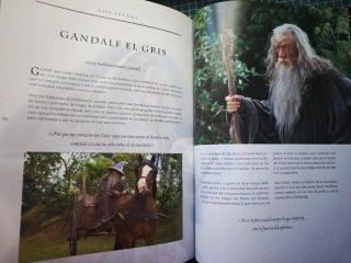 El señor de los anillos la comunidad del anillo