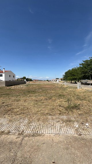 Desbroce de parcelas y fincas