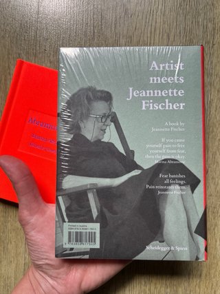 Psychoanalyst Meets Marina Abramović Artist Mee...