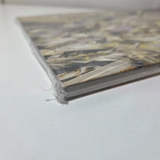NUOVO Artbook Saint Cloth Mythology - God Edition