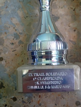 Dos copas de trofeo