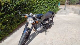 Mash Black Seven 125 2018