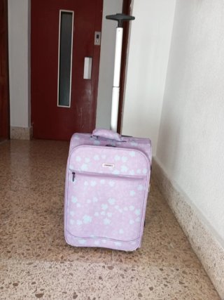 Maleta de cabina 2 ruedas 50x37x20 cm