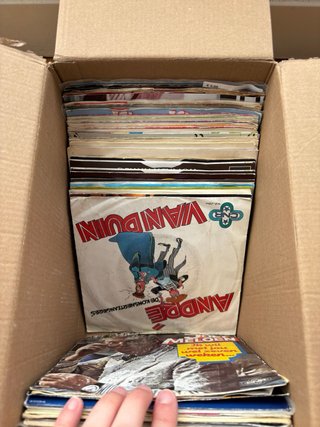 Lote Vinili Singoli Pop Rock Tedeschi