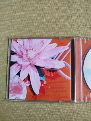 CD Björk Post 1995