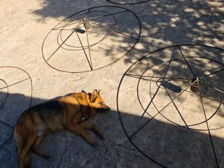 Estructura de sombrilla de metal