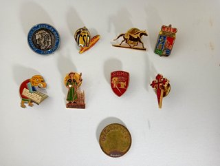 Lote de Pines y Chapas Variadas