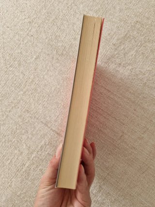 El cuaderno de Paula