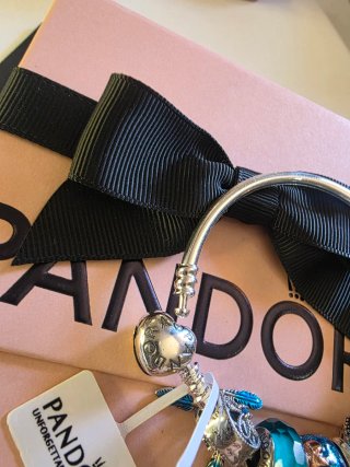 Pulsera Rígida Pandora Charms