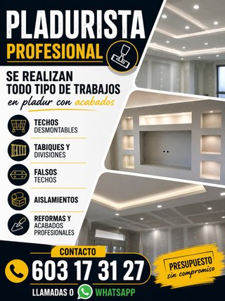 Soy pladurista realizo todo ripo de trabajo